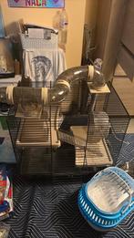 Cavia of konijnen kooi + transsport, Cobaye, Cage, Comme neuf, 60 à 90 cm