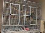 Grote papegaaienkooi, Enlèvement, Comme neuf, Métal, Cage à oiseaux