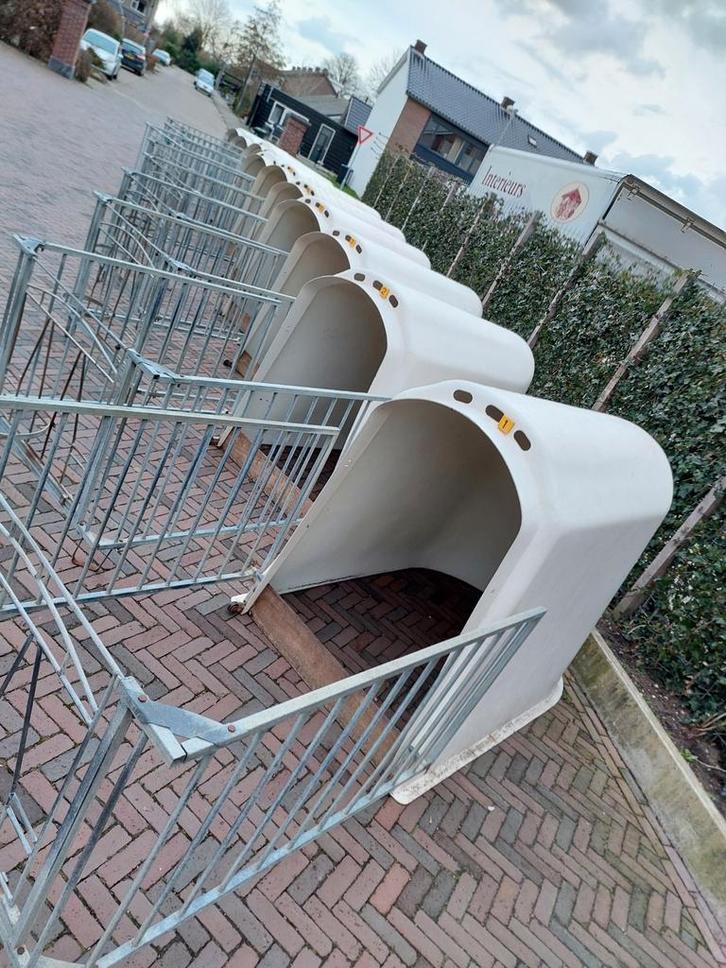 Kalveriglo, kalverhok, kalverhut, kalverbox,iglo's, runderen, Dieren en Toebehoren, Stalling en Weidegang