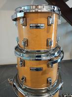 Taye Studio Maple, Musique & Instruments, Enlèvement ou Envoi, Comme neuf