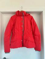 Mooie dikke ski jas van het merk Poivre Blanc in de maat M, Kleding | Dames, Jassen | Winter, Ophalen of Verzenden, Maat 38/40 (M)