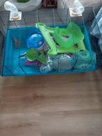 Kooi Cavia hamster konijnen Enzo met veel toebehoren, Ophalen of Verzenden, Zo goed als nieuw, Kooi, Hamster