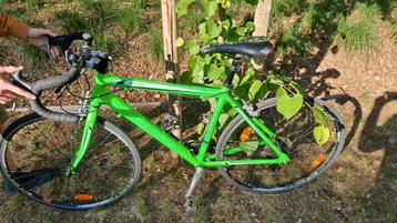 Elite Vuelta 26 inch racefiets Groen Shimano Tourney 14SP, Fietsen en Brommers, Ophalen, Gebruikt, 20 inch of meer, Elite