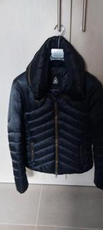 gaastra wintervest donkerblauw maat small, heel goede staat, Gaastra, Blauw, Ophalen of Verzenden, Zo goed als nieuw