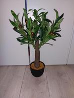 Plantes artificielles lot, Ophalen of Verzenden, Zo goed als nieuw