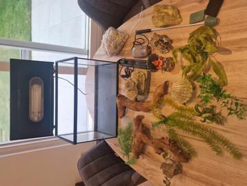Aquarium 60L beschikbaar voor biedingen