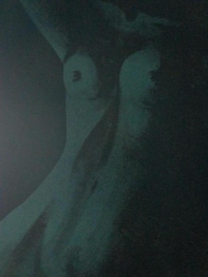 litho Paul Verbeeck naakt vrouwentorso donkergroen, Antiek en Kunst, Kunst | Litho's en Zeefdrukken, Ophalen of Verzenden