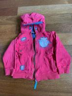 Veste pull épais pull Disneyland Paris taille 116 - 6 ans, Comme neuf, Pull ou Veste, Disney, Garçon