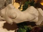 beeld vrouw lichaam, Ophalen of Verzenden