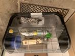 Cage hamster, Ophalen, Gebruikt, Kooi, Hamster