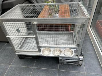 Kweekkooi 103 cm br, 66 cm h en 60 cm diep beschikbaar voor biedingen