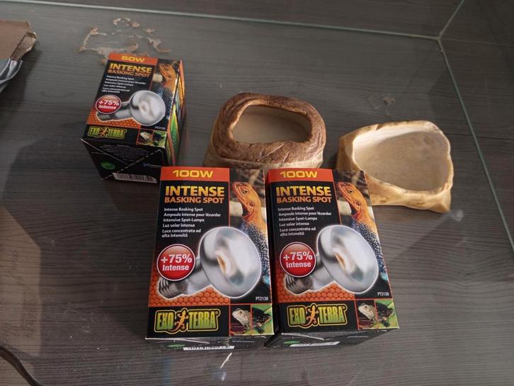 Terrarium spullen, Dieren en Toebehoren, Reptielen en Amfibieën | Toebehoren, Nieuw, Verlichting, Ophalen of Verzenden