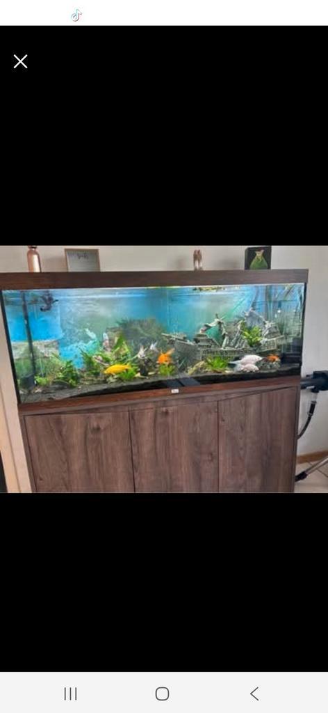 aquarium compleet, Dieren en Toebehoren, Vissen | Aquaria en Toebehoren, Zo goed als nieuw, Ophalen