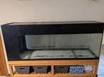 GRATIS - Aquarium 150x40x60 + toebehoren, Dieren en Toebehoren, Vissen | Aquaria en Toebehoren, Ophalen, Gebruikt, Leeg aquarium