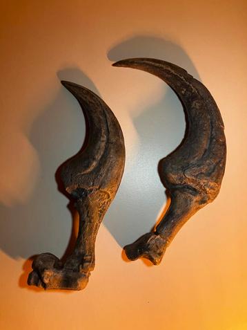 Replica 2 Therizinosaurus klauwen beschikbaar voor biedingen