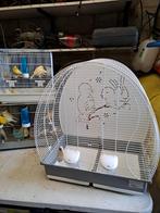 Cage + canaris, Animaux & Accessoires, Enlèvement ou Envoi, Comme neuf
