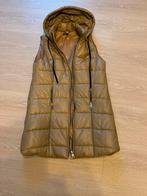 Bodywarmer, Beige, New Collection, Enlèvement ou Envoi, Neuf