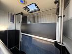 LUXE RENAULT PAARDENWAGEN 2020 ROELOFSEN AUTOMAAT STALLION, Ophalen, Zo goed als nieuw, Aluminium, Overige typen