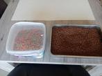 Visvoeder en koi voeding 2kg, Ophalen