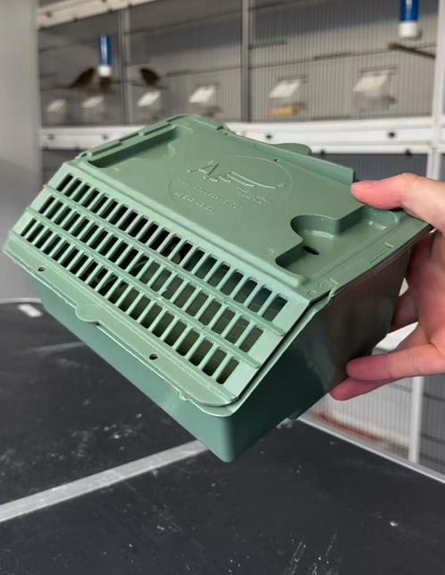 Transport box 10x15x20cm - Moldes Ave, Dieren en Toebehoren, Transportboxen, Nieuw, Ophalen