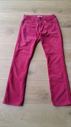 Pantalon velours Elisa Blue 36, Kleding | Dames, Ophalen