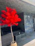Bloesemboom, Huis en Inrichting, Ophalen, Nieuw, Binnen