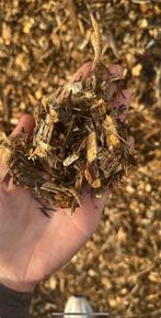 Hakselhout kan lichte sporen van naalden bevatten., Enlèvement ou Envoi, Écorce de pin