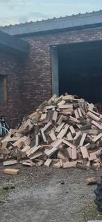 vers gezaagd brandhout eik, Tuin en Terras, Brandhout, Ophalen of Verzenden