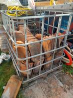 Boomse pannen, Doe-het-zelf en Bouw, Dakpannen en Dakbedekking, Ophalen