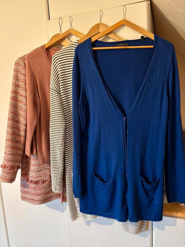 Gilet trui jasje 40-44, XL, Kleding | Dames, Dames-kledingpakketten, Zo goed als nieuw, Ophalen