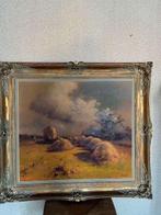 Romantische schilderij, Cd's en Dvd's, Ophalen, Gebruikt, Overige genres