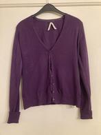 Paarse gilet - Lola & Liza - L, Kleding | Dames, Lola & Liza, Paars, Maat 42/44 (L), Ophalen of Verzenden