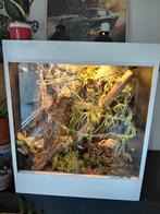 Op maat gemaakte terrariums!, Dieren en Toebehoren, Ophalen, Zo goed als nieuw