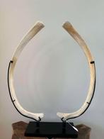 Walvisbeenderen op metalen sokkel, Ophalen