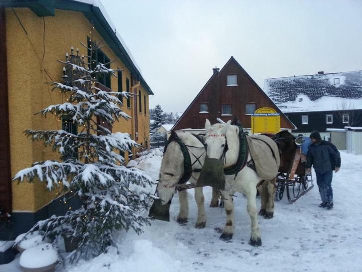 Te huur leuk ingericht hotel, restaurant in Duitsland, Immo, Buitenland, Duitsland, Overige soorten, Landelijk, Verkoop zonder makelaar