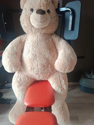 Teddybeer xxl  pluchiez, splinternieuw. Etiket hangt er nog  beschikbaar voor biedingen