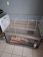 cage a lapin, Dieren en Toebehoren, Ophalen, Kooi, Gebruikt, 90 cm of meer