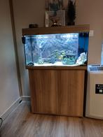 Complete Aquarium Juwel Rio 125L lichte eik., Dieren en Toebehoren, Vissen | Aquaria en Toebehoren, Ophalen of Verzenden, Zo goed als nieuw