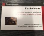 Paardrijlessen aan huis, Ophalen of Verzenden, Zo goed als nieuw