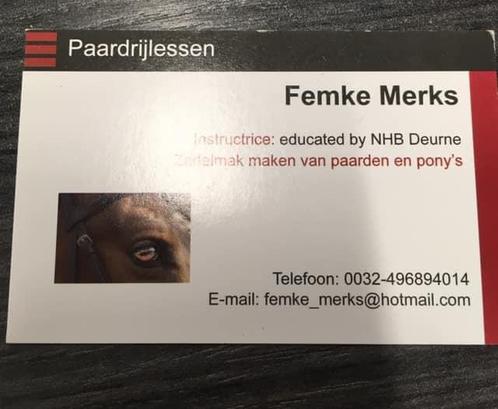 Paardrijlessen aan huis, Cd's en Dvd's, Cd's | Klassiek, Zo goed als nieuw, Ophalen of Verzenden