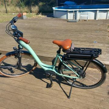 Riese & Müller Swing Vario 3 jaar - 5780km + oplader en slot beschikbaar voor biedingen