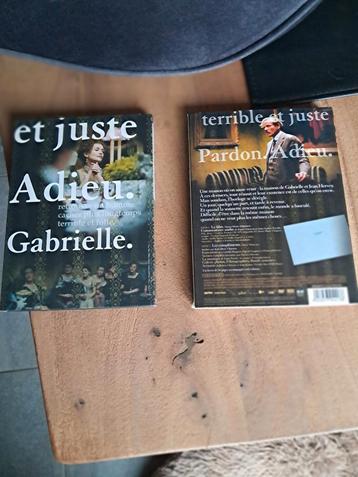 Dvd  Gabrielle le césar 2006, Livres, Art & Culture | Architecture, Enlèvement ou Envoi, Comme neuf
