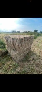 Hooi 2025, Dieren en Toebehoren, Ophalen