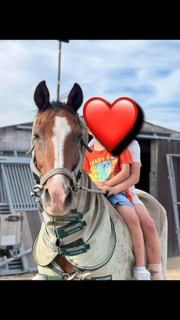 Super brave kinder pony  beschikbaar voor biedingen