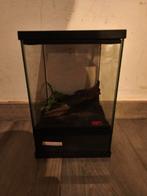 Insecten bak voor bidsprinkhaan of spinnen tekoop in Hoboken, Dieren en Toebehoren