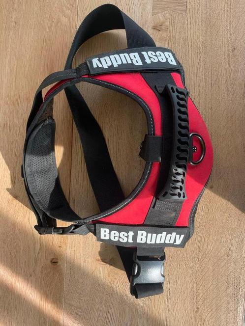 Best Buddy XL en L hondenriem (was van Labrador), Dieren en Toebehoren, Hondenriemen, Zo goed als nieuw, Hondenriem, Ophalen
