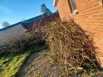 brandhout aanmaakhout, Tuin en Terras, Brandhout, Ophalen
