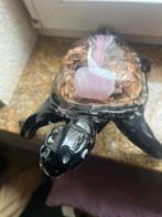 3  glas schildpad  panter en uil, Ophalen