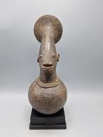 GROTE MANGBETU IN TERRACOTTA - CONGO - DRC, Antiek en Kunst, Kunst | Niet-Westerse kunst, Ophalen of Verzenden