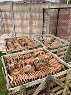 Boomse pannen en nokken, Doe-het-zelf en Bouw, Ophalen, Zo goed als nieuw, Dakpannen